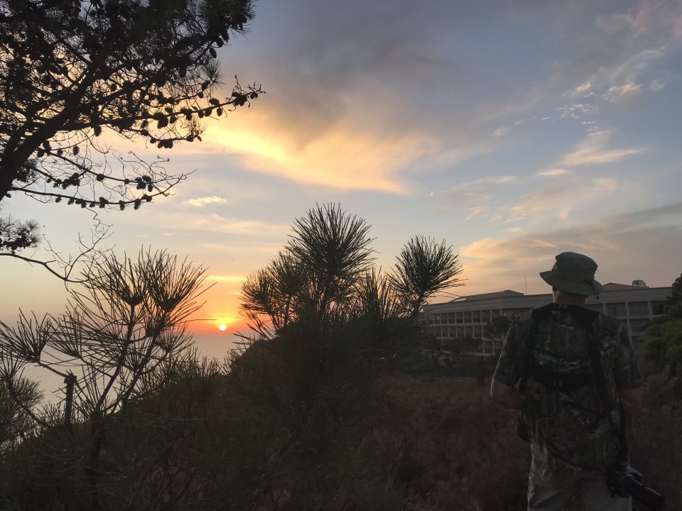 Gartenanlage PortoBay Falésia