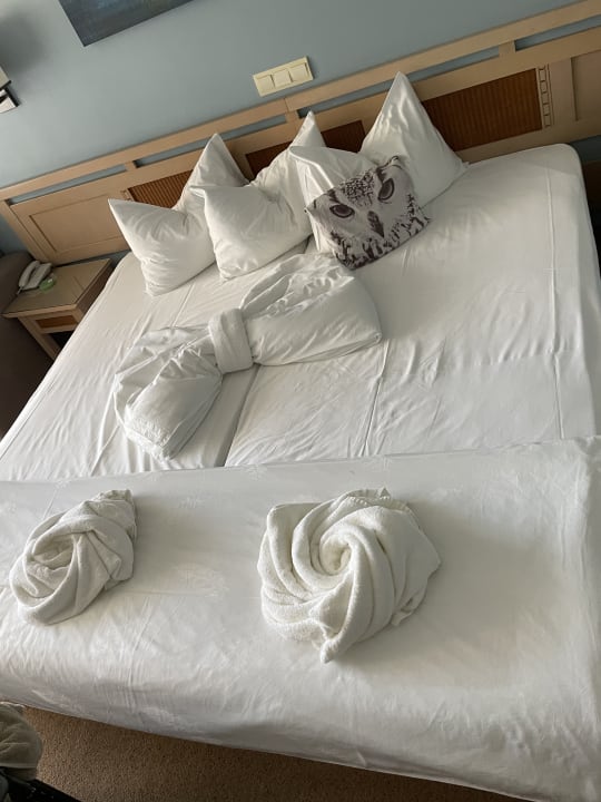 Zimmer HVD Clubhotel Miramar