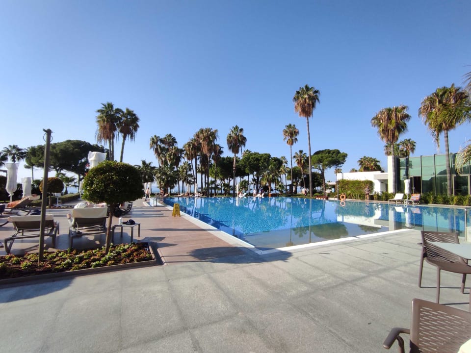 Pool Acanthus Cennet Barut Collection