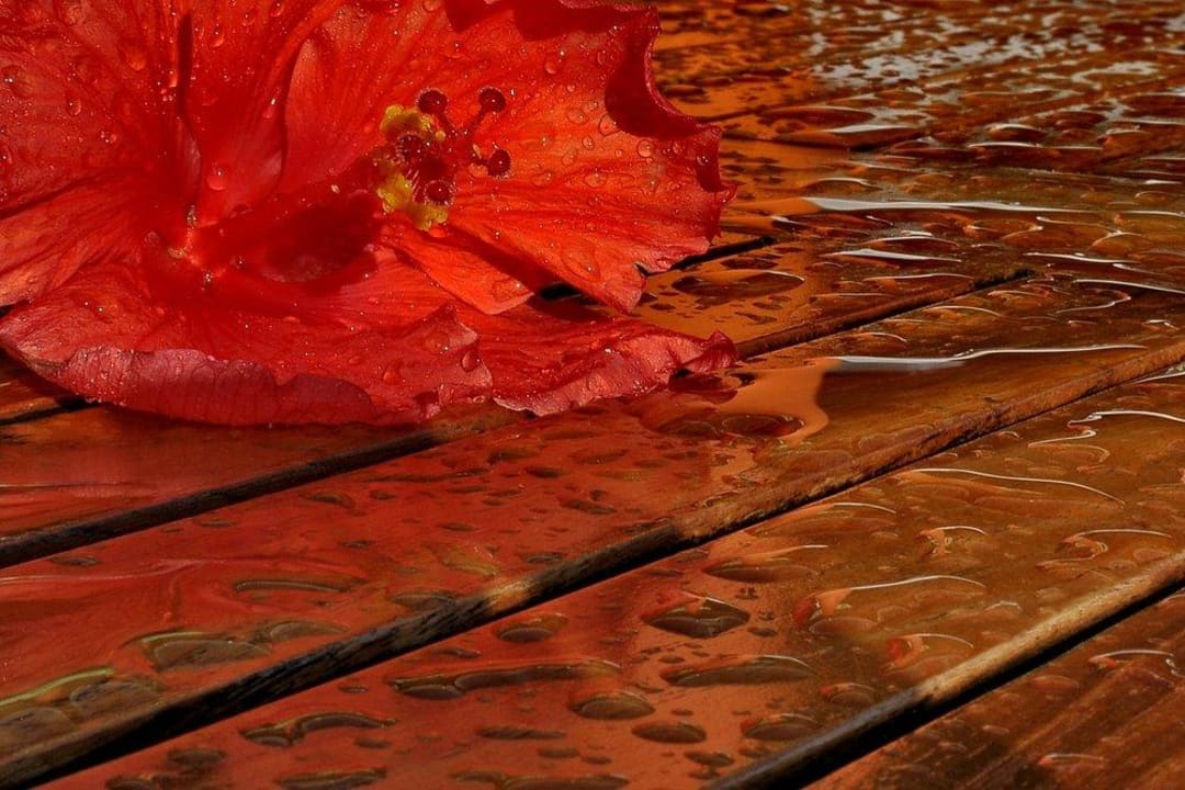 Nach dem Regen Hotel Grand Pineapple Beach Negril