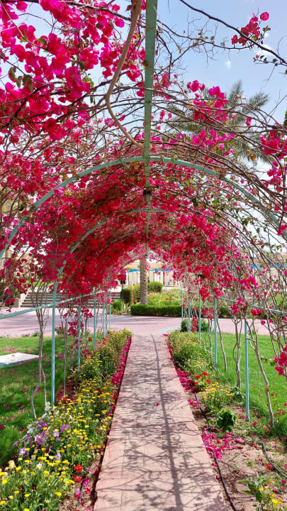 Gartenanlage Cleopatra Luxury Resort Makadi Bay