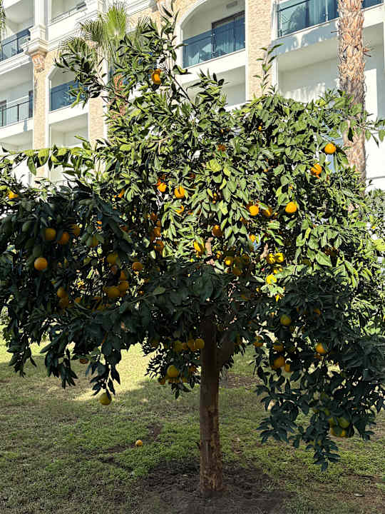 Ausblick Diamond Premium Hotel & Spa