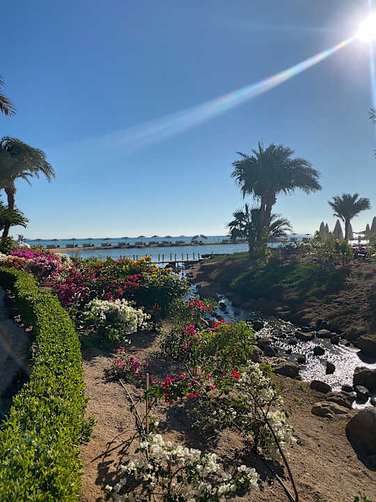 Gartenanlage Mövenpick Resort & Spa El Gouna