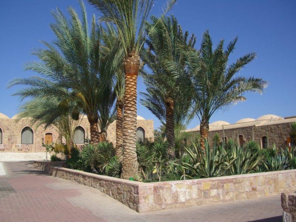 Grünbereich Mövenpick Resort El Quseir