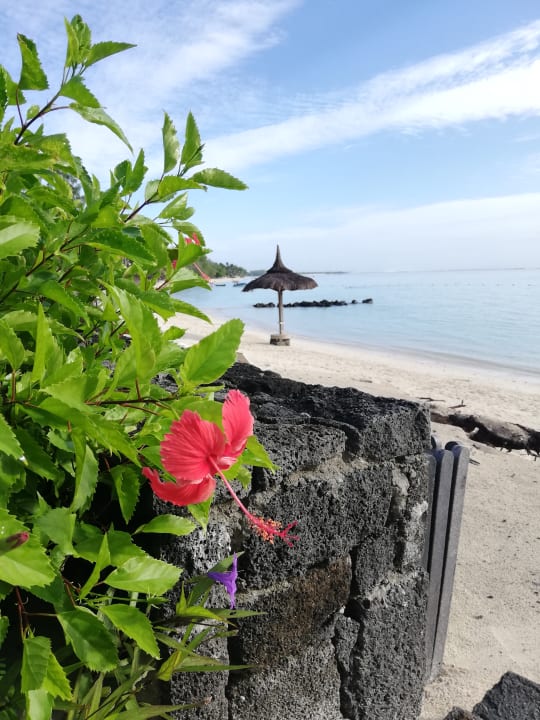 Strand Ambre Mauritius