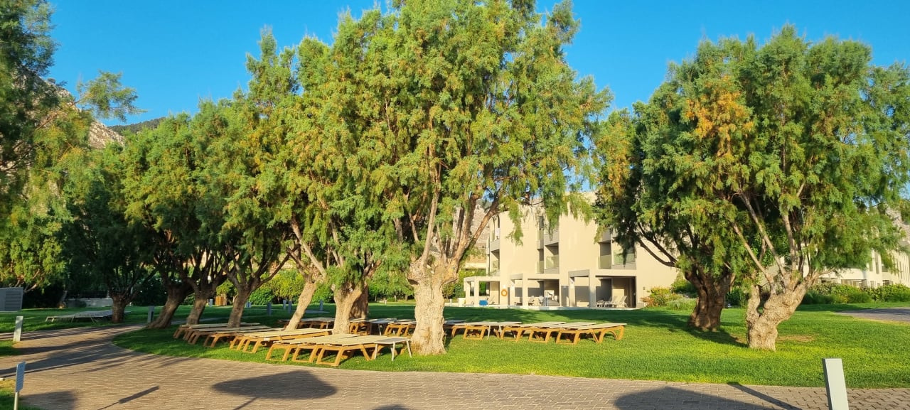 Gartenanlage Atlantica Aegean Blue