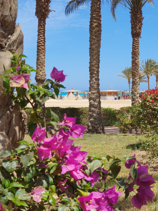 Gartenanlage Dream Lagoon Resort & Aqua Park