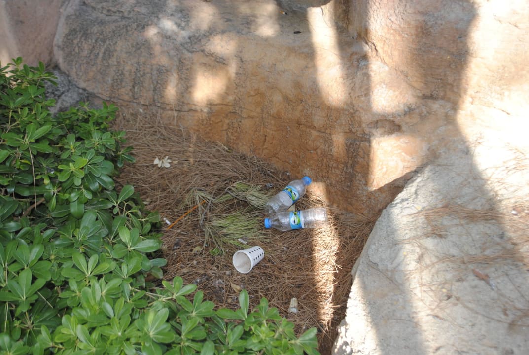 Überall lag Müll, besteck,Becher, Essensreste Grand Yazici Club Marmaris Palace