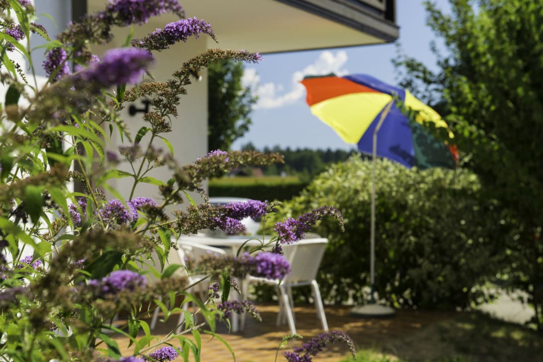 Terrasse - Haus 2  Ferienwohnung Typ E Ferienwohnungen Scheiber