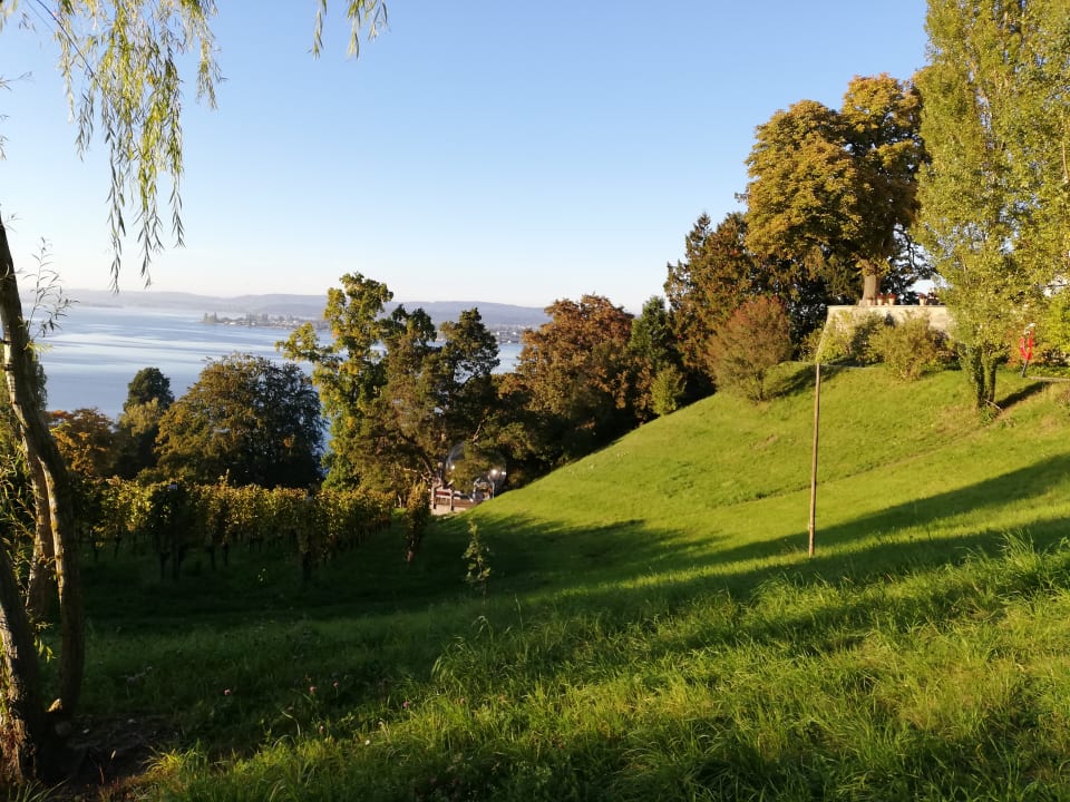 Ausblick Hotel Arenenberg