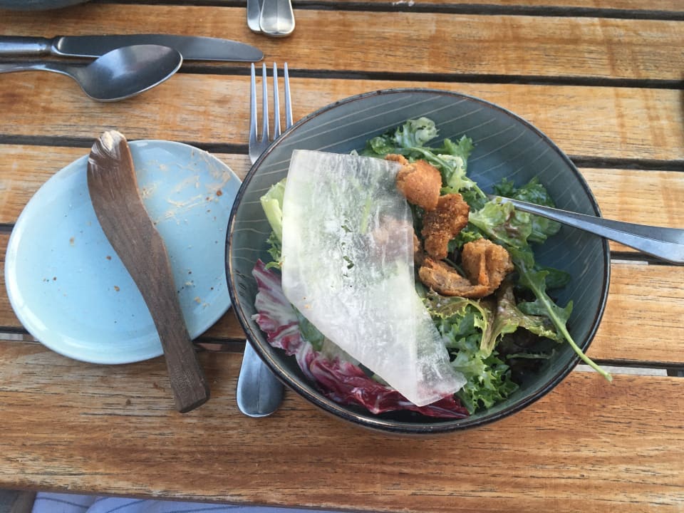 Gastro Seezeitlodge Hotel & Spa