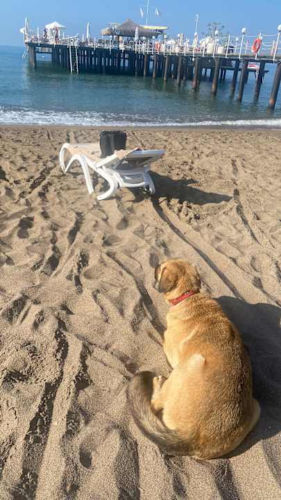 Strand Adalya Elite Lara