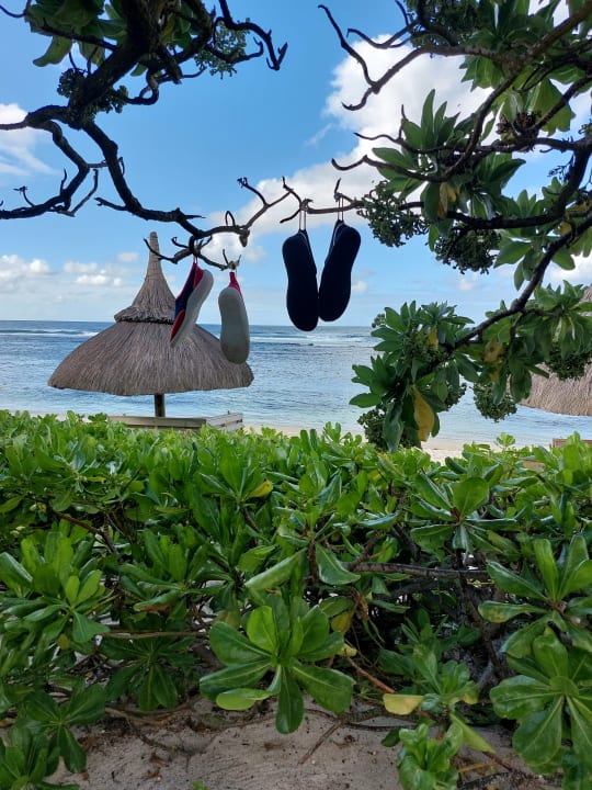 Ausblick Radisson Blu Poste Lafayette Resort & Spa - Adults only