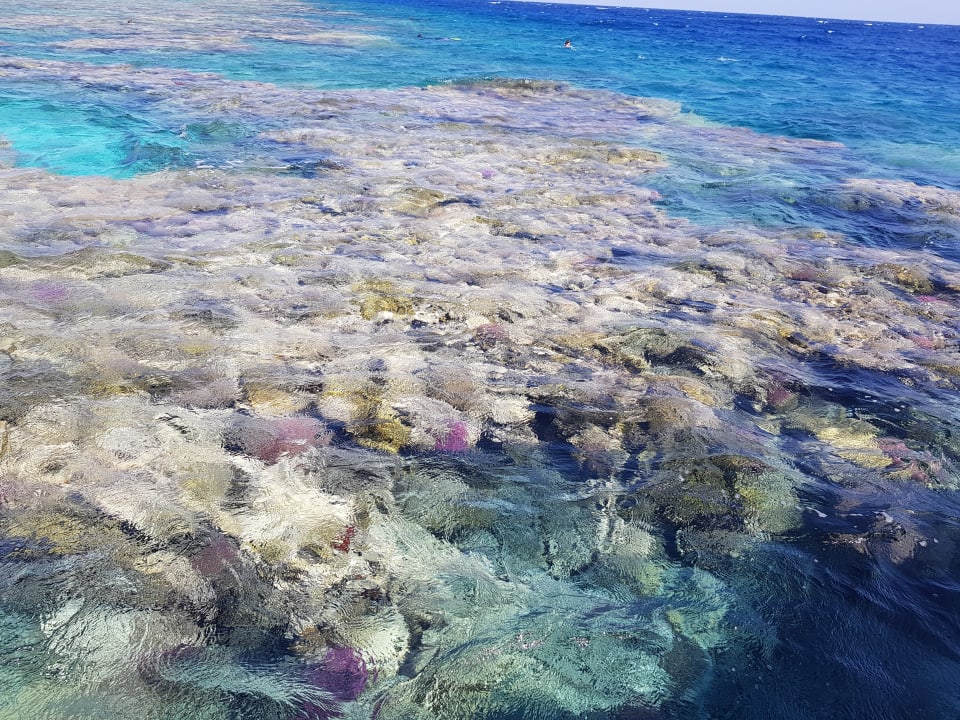 Strand Hotel Sheraton Soma Bay Resort