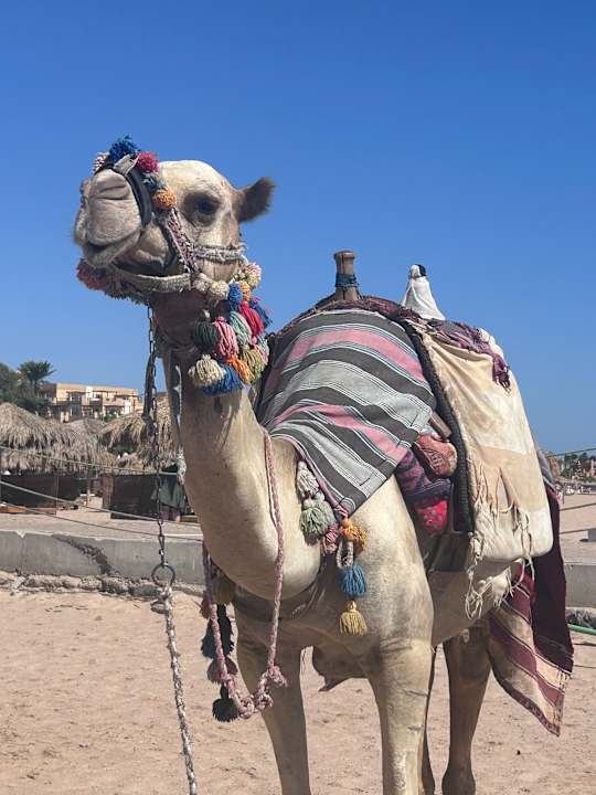 Strand Shams Safaga Resort