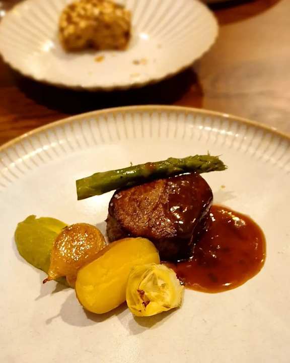 Gastro Acanthus Cennet Barut Collection