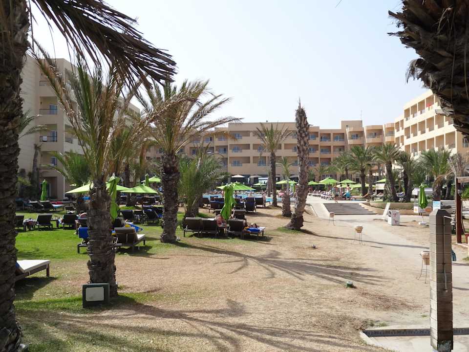 Z plaży do hotelu Hotel Rosa Beach