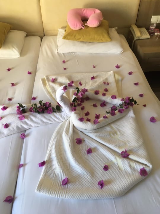 Zimmer Calimera Hane Garden