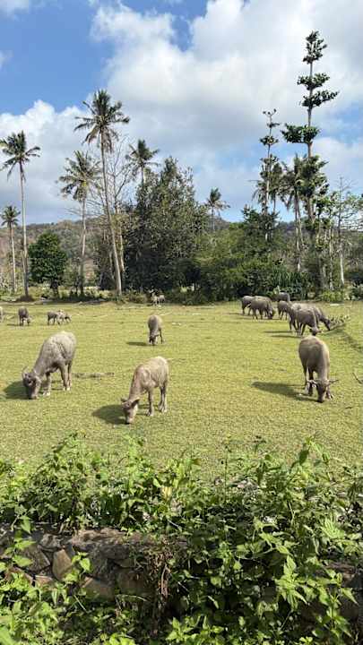 Gartenanlage Tropik Resort Lombok