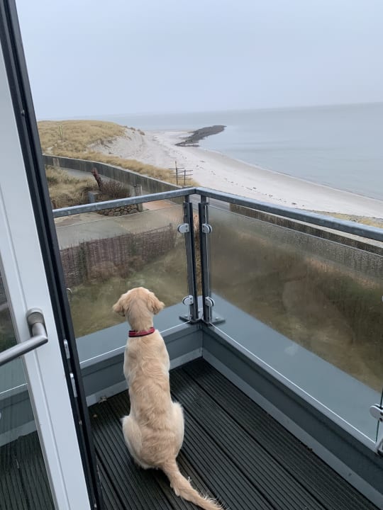 Zimmer Hotel Strand am Königshafen