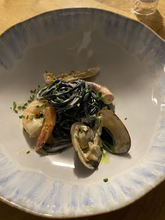 Gastro Acanthus Cennet Barut Collection