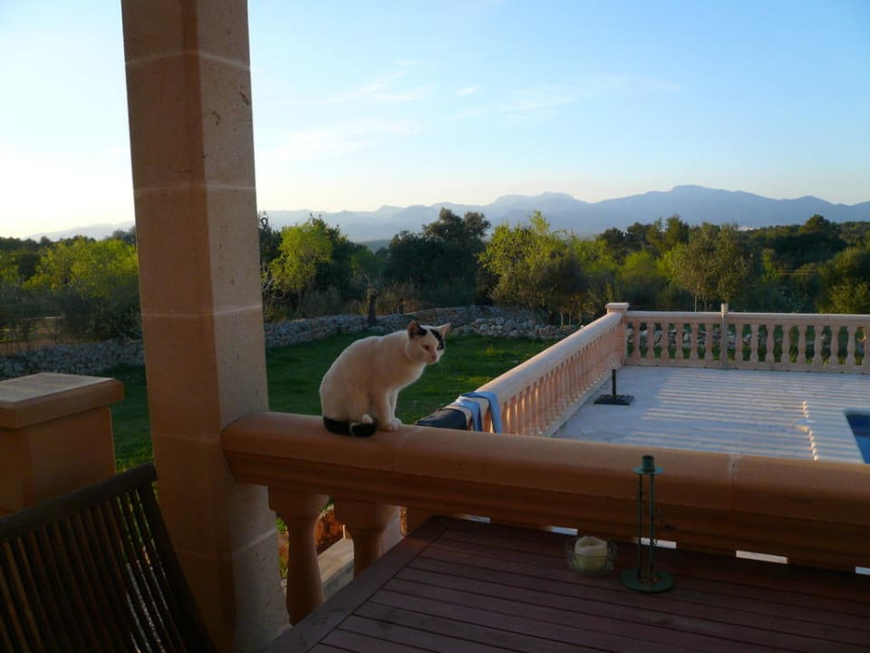 Ausblick von der Terrasse Finca Frederica