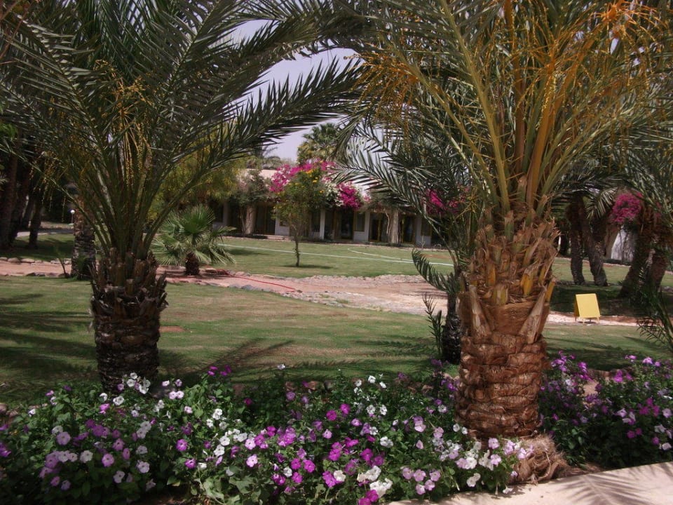 Hotel Corali Club Dahab Lagoon Club & Resort