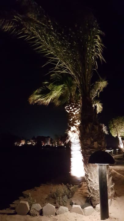 Gartenanlage Hotel Three Corners Ocean View prestige - Adults only