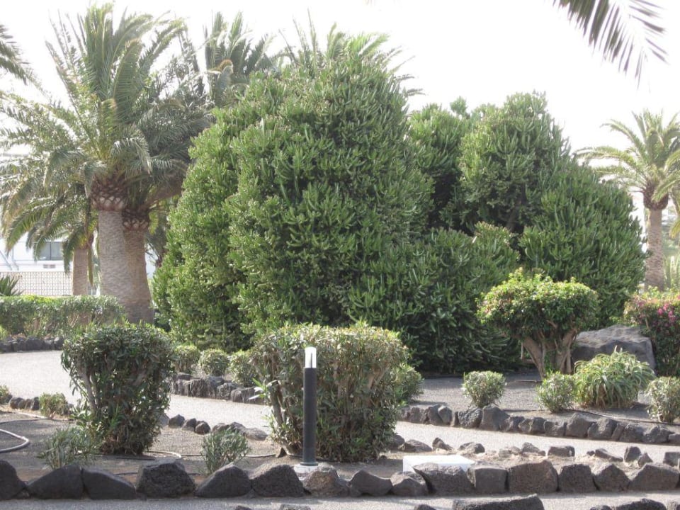 Garten der Anlage Relaxia Olivina