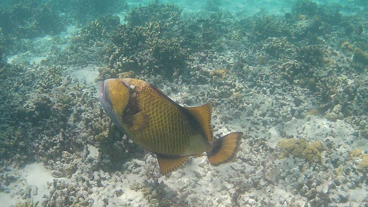 Sonstiges Adaaran Select Hudhuran Fushi - Premium All Inclusive