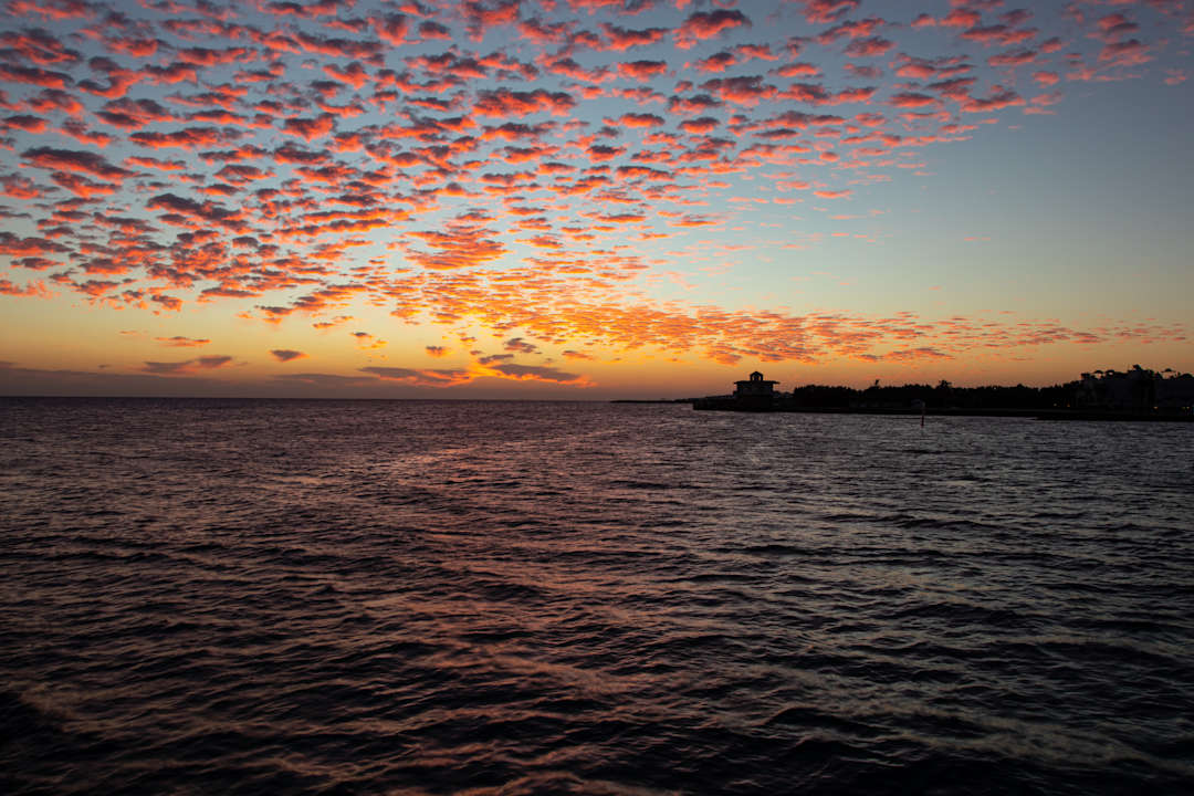 Ausblick Desert Rose