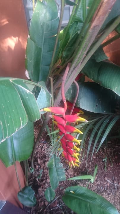 Außenansicht Sanma Hotel