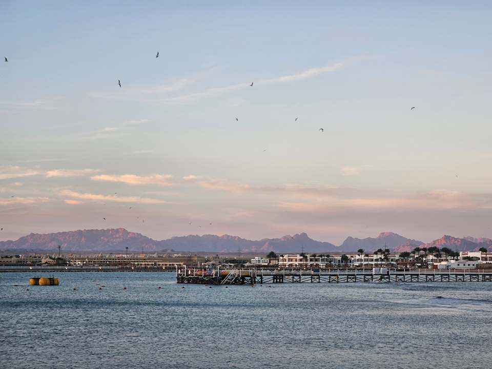 Ausblick Beach Albatros Resort
