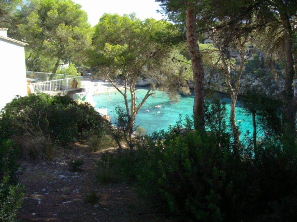 Cala Santanyi Hotel Pinos Playa