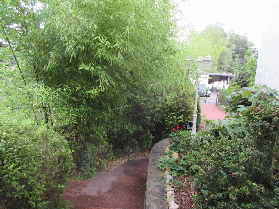 Der Gartenweg Pension am Schilf