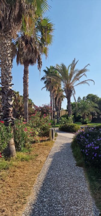 Außenansicht TUI BLUE Xanthe