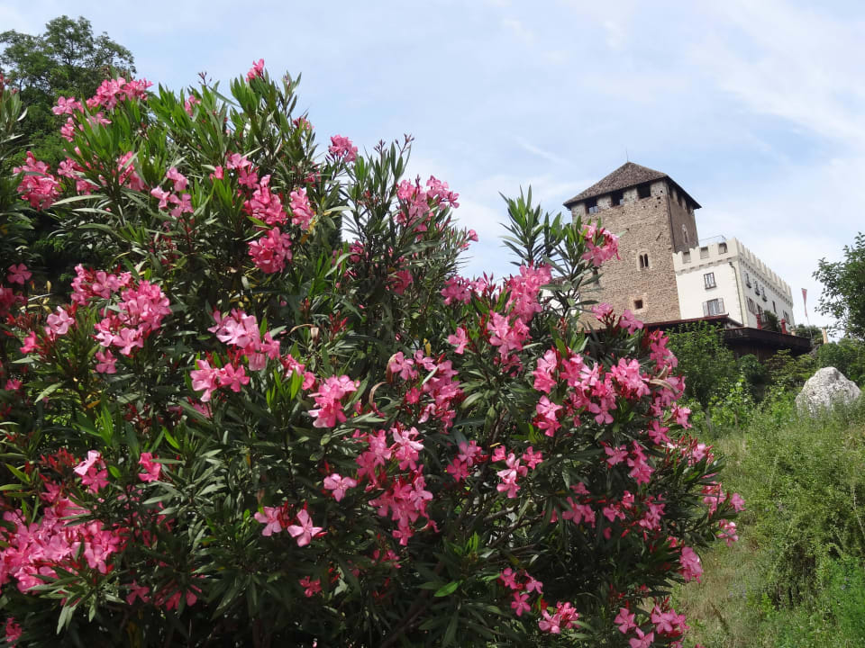 Blick auf Schloß Korb Schloss Hotel Korb