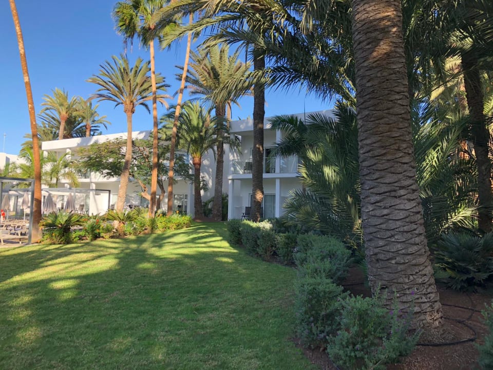 Gartenanlage Hotel Riu Palace Oasis