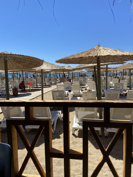 Strand Dream Fun World