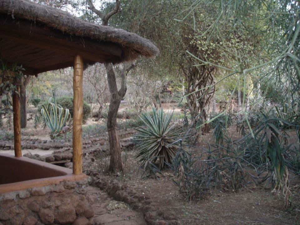 Amboseli Sopa Lodge Hotel Amboseli Sopa Lodge