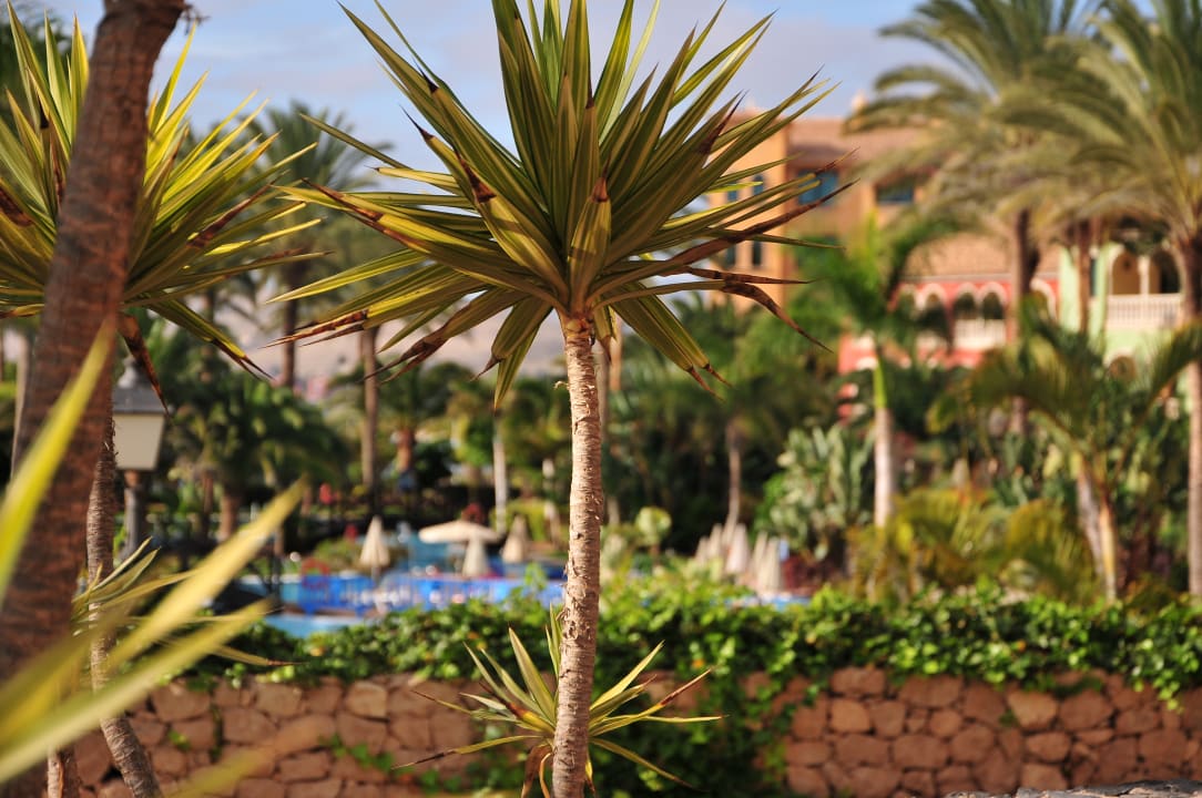 Gartenanlage R2 Rio Calma Hotel & Spa & Conference