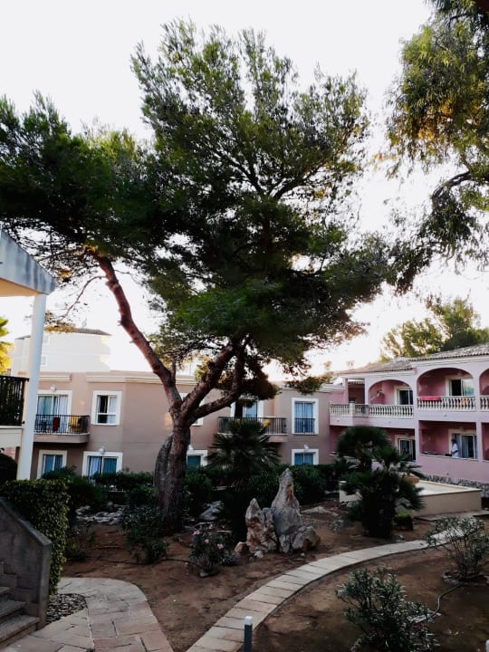 Außenansicht allsun Hotel Lago Playa Park