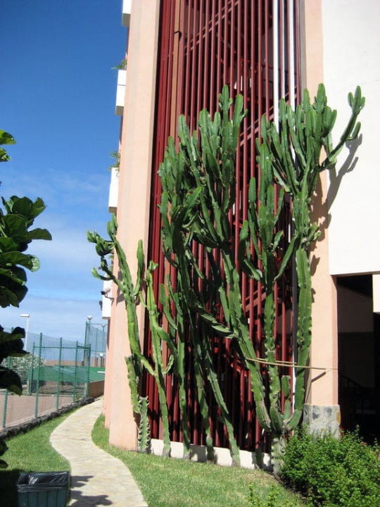 Garten Hotel Puerto Palace