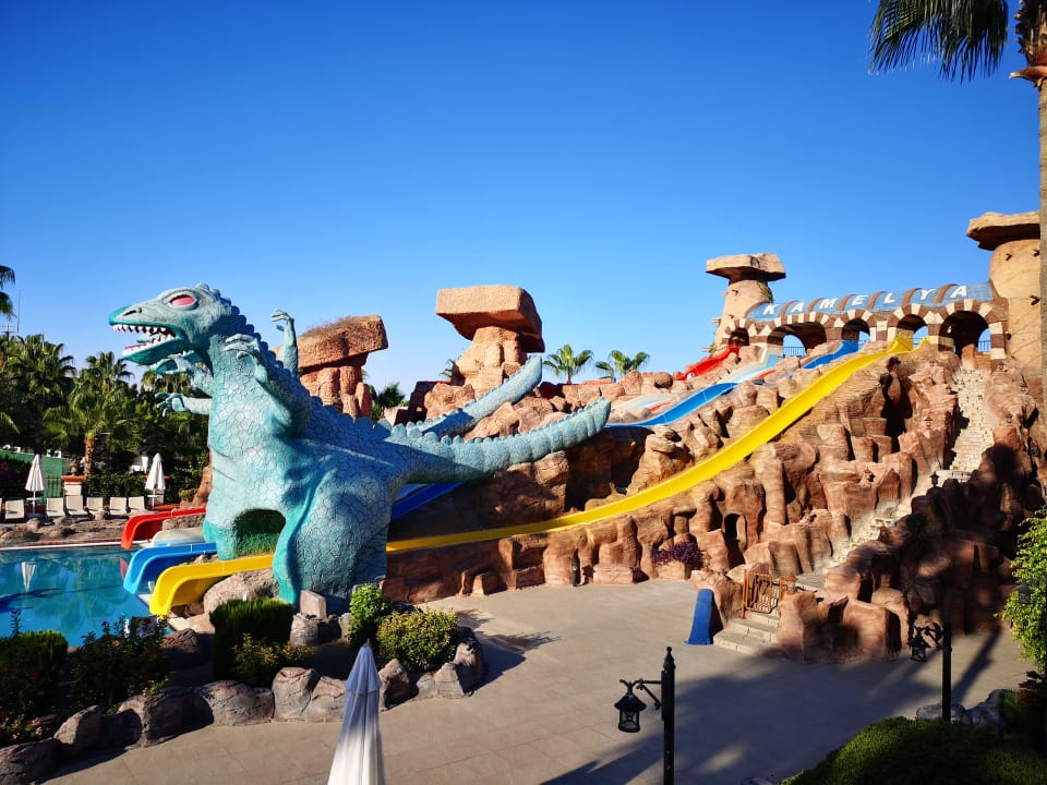 Sport & Freizeit Kamelya Aishen Club