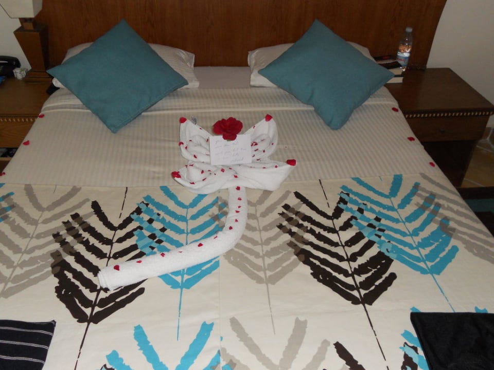 Zimmer 360/2 Seagull Beach Resort