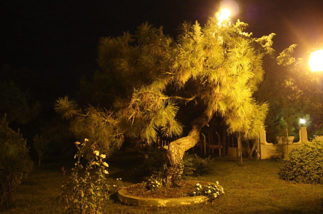 Club Ali Bey Manavgat Ali Bey Club