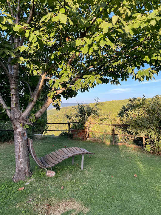 Gartenanlage Agriturismo Montecorboli
