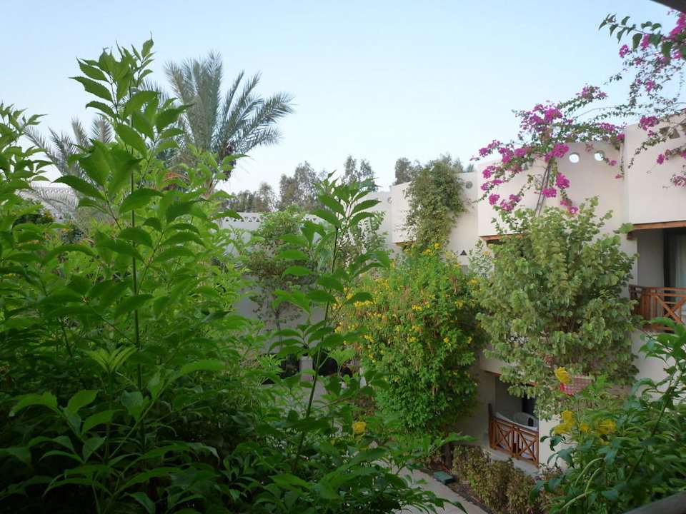 Vom Balkon Zimmer 1532 Ghazala Gardens