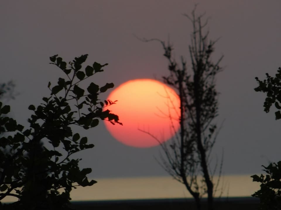 Ausblick Korumar Ephesus Beach & Spa Resort