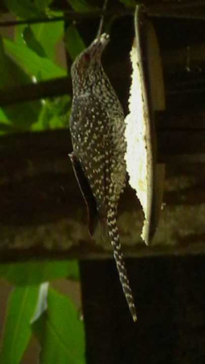 Sonstiges Sunshine Guesthouse